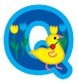 q q